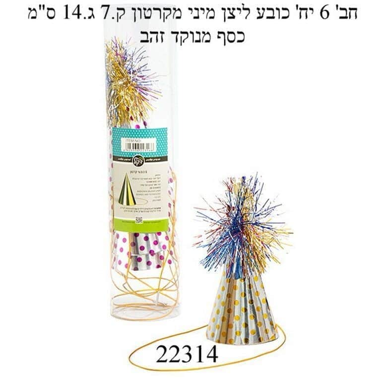 חבילת 6 יח' כובע ליצן מיני מקרטון