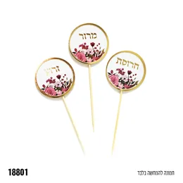 קיסמים ברכות פסח 6 יח