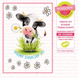 שבועות עוגה 01