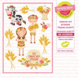 שבועות עוגה 03