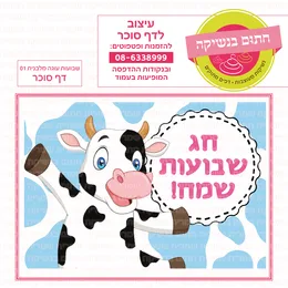 שבועות עוגה מלבנית 01